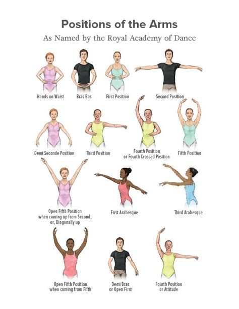 Ballet Barre Exercises For Beginners, How To Teach Yourself Ballet, Ballet Lessons For Beginners, Dancing Tips For Beginners, Adult Ballet Beginner, Beginner Ballet Moves, Dance Worksheets, Ballet Beginner, Ballet Arms