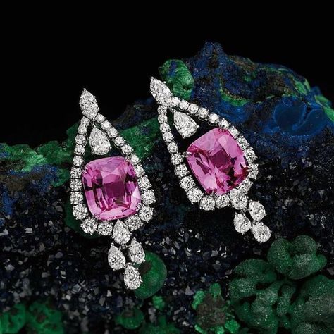 Charlotte Esprit Joaillerie on Instagram: “✨ Harry Winston ✨Pink Sapphire, Diamonds, Platinum✨ #jewellery #jewels #harrywinston #espritjoaillerie #patrimoinejoaillerie #joyeria…” Harry Winston Jewelry, Pink Diamond Earrings, Diamond Tops, Pink Sapphire Earrings, Harry Winston, Jewellery Inspiration, Pink Bling, Ruby Earrings, Emerald Earrings