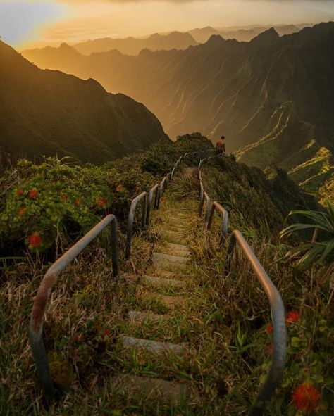 Oahu, Hawaii Stairway To Heaven Hawaii, Stairs To Heaven, Oahu Photographers, Visit Usa, Way To Heaven, Hawaii Life, Stairway To Heaven, Take A Walk, Oahu Hawaii