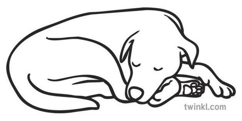 Dog Line Drawing, Sleeping Drawing, Dog Line Art, Dog Sleeping, Dog Sketch, 강아지 그림, Black And White Dog, Up Dog, White Illustration