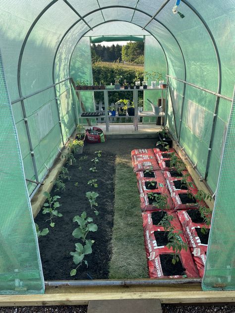 Polytunnel Layout Ideas, Allotment Layout, Polly Tunnel, Polytunnel Ideas, Flower Tunnel, Garden Tunnel, Courtyard Gardens Design, Vegetable Garden Design, Diy Garden Projects