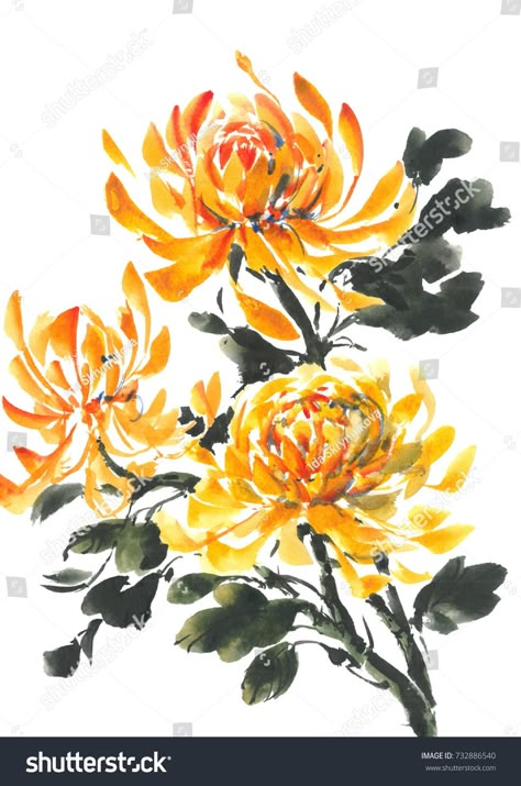 Chrysanthemum Drawing, Chrysanthemum Watercolor, Chrysanthemum Painting, Chinese Painting Flowers, Yellow Chrysanthemum, Chrysanthemum Tattoo, Sumi E Painting, Chinese Art Painting, Chrysanthemum Flower