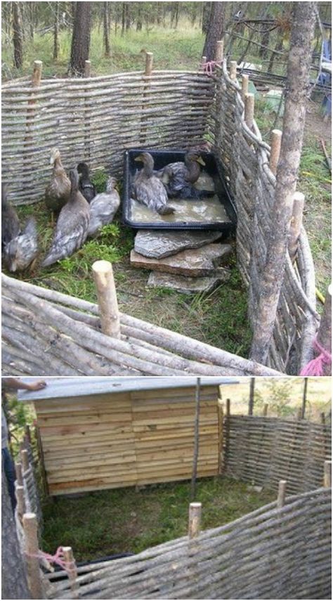 25 Cheap And Easy DIY Home And Garden Projects Using Sticks And Twigs - Even when the temperatures are blistering hot, there’s nothing that I enjoy more than working in my garden. That includes decorating. I just get so much joy out of landscaping and turning my outdoors beautiful. #diy #gardening #projects #twigs #sticks #tutorials Wattle Fencing, Wattle Fence, Garden Dividers, Willow Garden, Garden Walls, Garden Obelisk, Garden Pavilion, Garden Arches, Garden Artwork