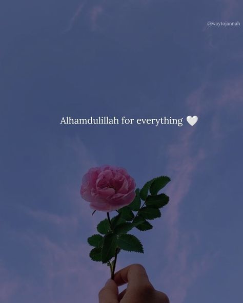 Allhumdulilallah Dp, Allhamdulliah Images Arabic, Alhamdulillah For Everything Wallpaper, What's Up Dp, Dp Picture, Islamic Pic, Alhamdulillah For Everything, Tiny Quotes, Al Qur'an Aesthetic