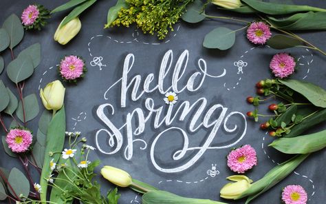 March 20, 2016 - Happy first day of spring! Hello Spring || Deskop wallpaper from http://blog.lilyandval.com March Wallpaper Desktop, Hello Spring Wallpaper, March Wallpaper, Spring Desktop Wallpaper, February Wallpaper, Lily And Val, Chalk Lettering, Zero Wallpaper, Iphone Wallpaper Images