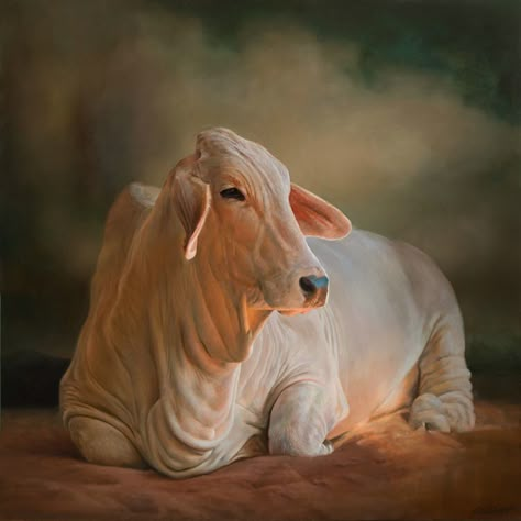 Cow Photography, Cow Drawing, Cow Photos, Cattle Drive, Cow Pictures, National Animal, Cattle Farming, Cow Painting, Cow Art