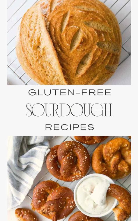 Sourdough Discard Recipes, Gluten Free Sourdough Starter, Gluten Free Sourdough Bread, Sourdough Rolls, Sourdough Cinnamon Rolls, Sourdough Pancakes, Sourdough Starter Discard Recipe, Discard Recipes, Gluten Free Sourdough