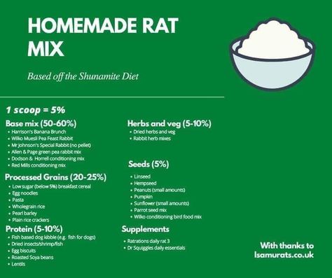 Homemade Rat Food, Rat Food, Vegan Dog Food, Rat Care, Fortified Cereals, Baby Rats, Dried Porcini Mushrooms, Dehydrated Vegetables, Rat Toys