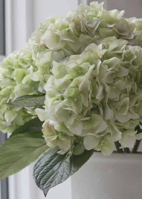 French Country Green, French Hydrangea, Stages Of Growth, Floral Palette, Hydrangea Vase, Decor Centerpieces, Fake Hydrangeas, Countryside Cottage, Hydrangea Arrangements