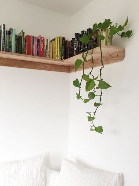 pinewood floating bookshelf for bedroom aesthetic Geek Decor, Eclectic Modern, Ideas Living Room, Corner Shelf, Decor Minimalist, Apartment Inspiration, Room Inspiration Bedroom, Room Ideas Bedroom, Ideas Living