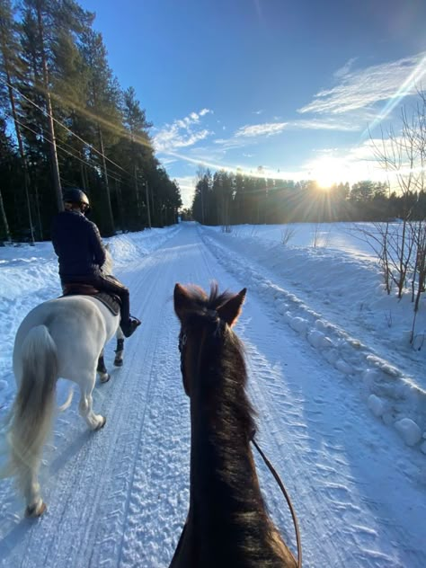 Snow Fireplace, Fireplace Aesthetic, Horses In Snow, Horsey Life, Horse Riding Aesthetic, Winter Horse, Equestrian Aesthetic, December Christmas, Horse Riding Clothes