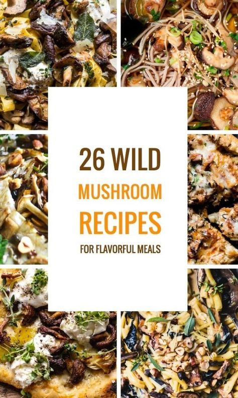 Wild Mushroom Sauce, Mushroom Variety Recipes, Mixed Mushrooms Recipes, Mix Mushroom Recipes, Foraged Mushroom Recipes, Assorted Mushrooms Recipe, Fall Mushroom Recipes, Wild Oyster Mushrooms Recipe, Exotic Mushroom Recipes