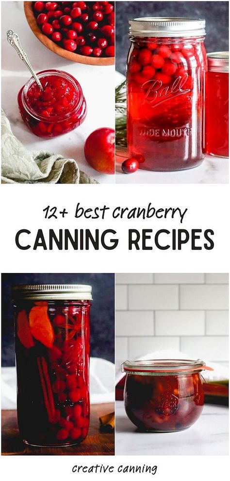 Check out 12+ best cranberry canning recipes for preserving this tart and versatile fruit. Ideal for holiday tables, these recipes include pickled cranberries, sauces, and juices. Find more fresh cranberry recipes, ways to preserve cranberries, fall canning recipes, and Home Canning Recipes at creativecanning.com. Canning Cranberry Juice Recipes, Cranberry Juice Canning Recipe, Cranberry Canning Recipes, Fall Canning Recipes, Cranberry Holiday Recipes, Canning Cranberry Juice, Pickled Cranberries, Canning Recipes For Beginners, Canning Cranberry Sauce