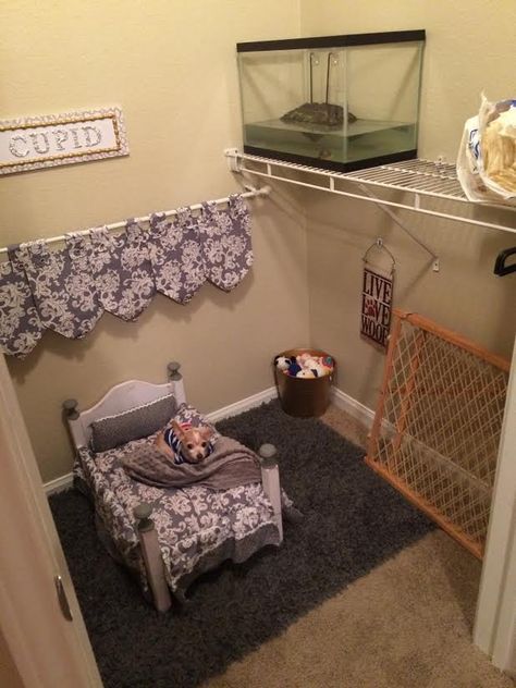 Doggie Bedroom, Dog Bedroom, Puppy Room, Dog Spaces, Dog Room, Chihuahua Mom, Tiny Dog, Dog Things, Animal Room