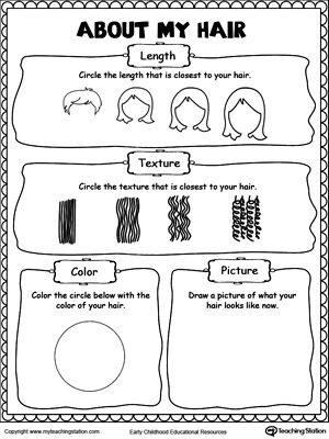 **FREE** About My Hair Worksheet. Help children describe their hair with this printable worksheet. Children will need to identify the length, color and texture of their hair. Finally, they will draw a portrait of what their hair looks like now. Diversity Worksheets For Kids, Describing Hair, Weather Kindergarten, Substitute Folder, Preschool Social Studies, Free Kindergarten Printables, Kindergarten Social Studies, History Worksheets, Social Studies Worksheets