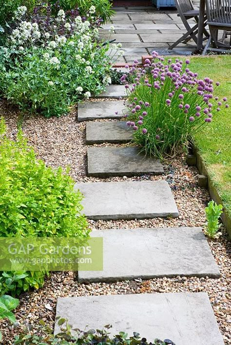 Stepping stones in gravel with herbs Garden Path Slabs And Gravel, Stepping Stones And Gravel, Stone Gravel Pathway, Stepping Stones In Gravel, Paving With Stones, Gravel Path With Stepping Stones, Gravel And Stepping Stones, Cottage Garden Stepping Stones, Courtyard Herb Garden Ideas