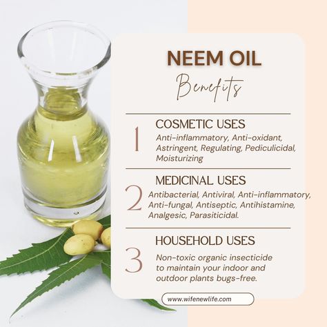 Neem Oil Benefits Skin, Neem Leaf Benefits, Neem Oil Benefits, Benefits Of Neem Oil, Neem Oil For Hair, Benefits Of Neem, Natural Antifungal, Hair And Skin Vitamins, Organic Insecticide