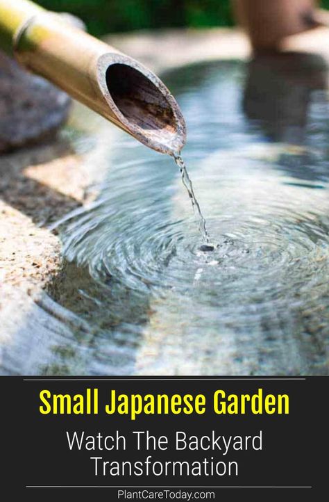 When faced with a postage stamp backyard many homeowners think they have few options. A small Japanese garden design doesn't even... Japanese Gardens Backyard, Japanese Small Garden Ideas, Japanese Garden Fountain, Asian Inspired Backyard Ideas, Japanese Container Garden, Japanese Inspired Gardens Small Spaces, Backyard Japanese Garden Ideas, Small Japanese Garden Ideas Simple, Small Japanese Garden Diy