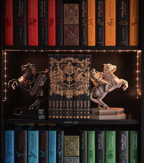 Harry Potter Room Decor Bedroom Ideas Aesthetic, Book Display Aesthetic, Harry Potter Collection Room, Harry Potter Room Aesthetic, Harry Potter Bookshelf, Hogwarts Bedroom, Slytherin Room, Harry Potter Book Set, Harry Potter Library