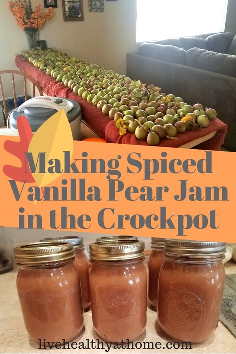 Vanilla Jam, Pear Sauce, Pear Butter, Canned Pears, Canning Fruit, Pear Jam, Jam Recipes Homemade, Canning Jam, Spiced Pear