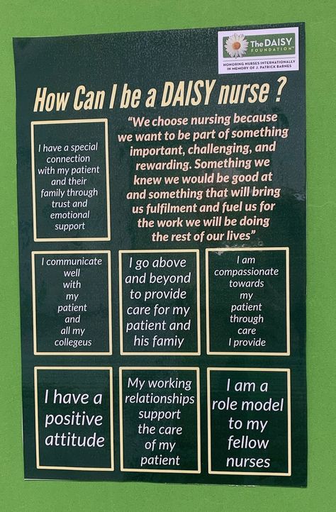 This is from Prince Sultan Cardiac Center Daisy Award Nurse, Daisy Award, Work Celebration, Daisy Ideas, Jewelry Cleaner Diy, I Am A Teacher, Nurse Manager, 2025 Goals, Award Ideas