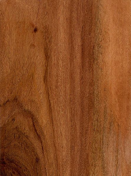 Rhodesian Teak (sealed) Lightweight Architecture, Teak Wood Texture, Teak Interior, Teak Floor, Wood Texture Seamless, Wood Mid Century, Mid Century Wood, Teak Wood Furniture, House Redesign