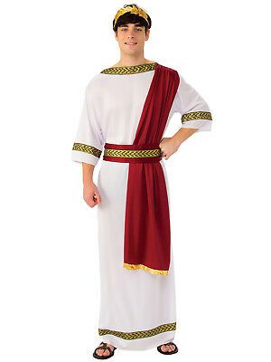 Toga Fancy Dress, God Costume, Greek God Costume, Wicked Costumes, Roman Costume, Greek Costume, Goddess Costume, Womens Fancy Dress, Roman Emperor