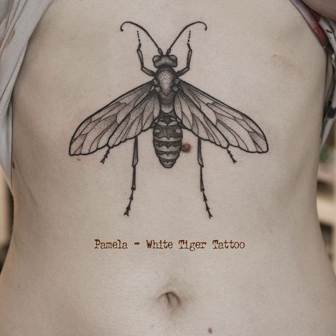 Tarantula Hawk Wasp Tattoo, Tarantula Hawk Tattoo, Wasp Tattoo, White Tiger Tattoo, Tarantula Hawk, Tattoo Website, Hawk Tattoo, Bee Tattoo, Tiger Tattoo