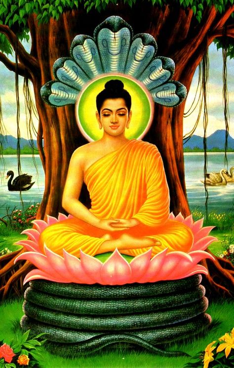 Jainism and Mahavira Buddha Painting Canvas, Siddhārtha Gautama, Hermann Hesse, Gautama Buddha, Buddha Painting, Meditation Benefits, The Buddha, Buddha Image, Kundalini Yoga