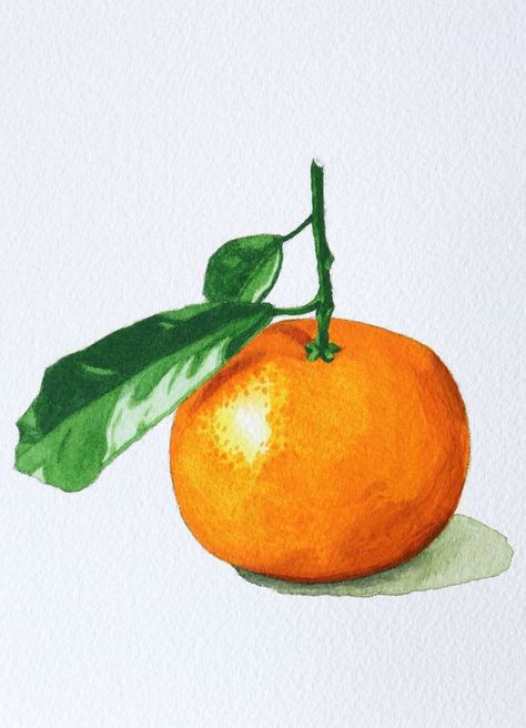 Watercolor Oranges Tutorial, Drawing Of Orange Fruit, Fruits Drawing Watercolor, Oranges Watercolor Paintings, Orange Reference Photo Fruit, Painting Of An Orange, Orange Fruit Watercolor, Painting Fruit Easy, How To Make Orange Paint