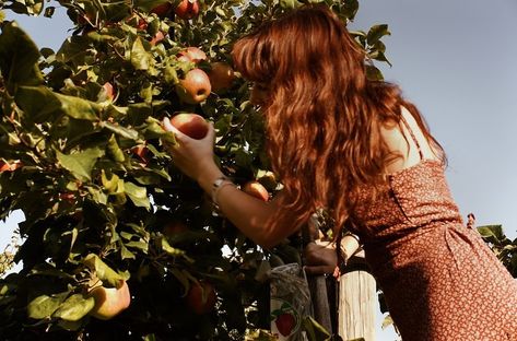 autumn for my ginger hair and when i love you and sunday mornings Orchard Aesthetic Vintage, Apple Picking Aesthetic Outfit, Apple Orchard Aesthetic, Apple Picking Date, Orchard Aesthetic, Apple Picking Aesthetic, Apple Picking Photos, Gilmore Girls Autumn, Autumn Fall Aesthetic