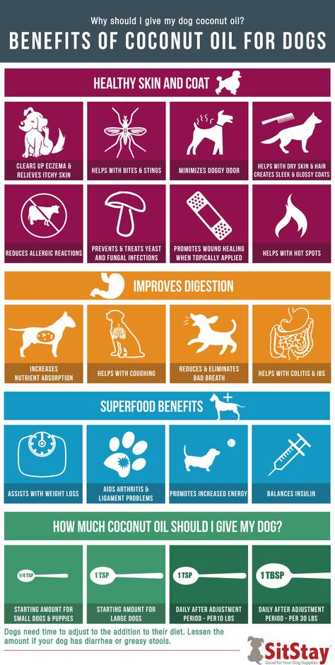 Why should you give your dog coconut oil? Because of all the amazing benefits! See our blog to get your free printable infographic will all of the amazing benefits listed. Dog Coconut Oil, Benefits Of Coconut, Coconut Oil For Dogs, Dog Remedies, Dog Insurance, Oils For Dogs, Dog Health Tips, 강아지 그림, Benefits Of Coconut Oil