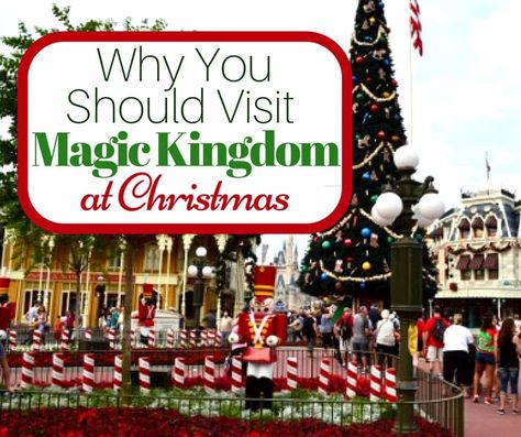 Why You Should Visit Magic Kingdom at Christmas Christmas At Magic Kingdom, Disney At Christmas, Magic Kingdom Christmas, Snacks Travel, Florida Trips, Disney Game, Disney World Christmas, Kid Snacks, Get Ready For Christmas