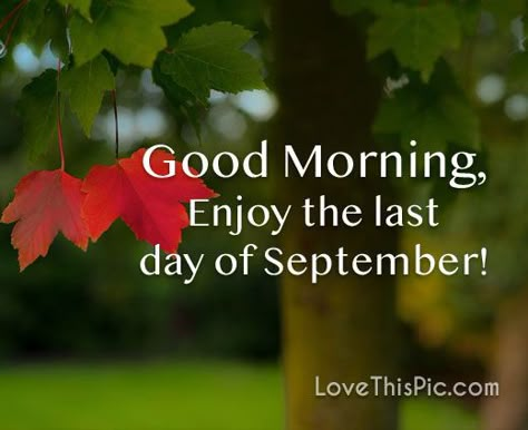 Enjoy the last day of September Last Day Of September Quotes, New Month Messages, Last Day Of September, Happy New Month Messages, Good Morning Rain, September Pictures, September Images, September Quotes, Good Morning Sayings