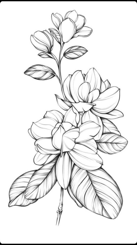 sampaguita tattoo | Flower tattoo drawings, Beautiful flower tattoos, Magnolia tattoo Flower Tattoos Magnolia, Tattoo Sketches Flower, Flower Drawing Tattoo Sketches, Gardenias Drawing, Gardenia Tattoo Sleeve, Gardenia Tattoo Design, Flower Tattoos Linework, Gardenia Outline, Gardenia Sketch