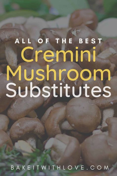 If you're looking for a great cremini mushroom substitute then take a look at this list of the best alternatives! You can't swap them out for just any mushroom, you need to choose a variety that is a good match for both flavor and texture. I've got 11 different fantastic choices that you can pick from! BakeItWithLove.com #bakeitwithlove #cremini #mushroom #substitute #babybella #portabella #cooking White Button Mushrooms, Button Mushrooms, Canned Mushrooms, Mushroom Dish, Cremini Mushrooms, Morel Mushroom, Stuffed Portabella Mushrooms, Baking Substitutes, Portobello Mushroom