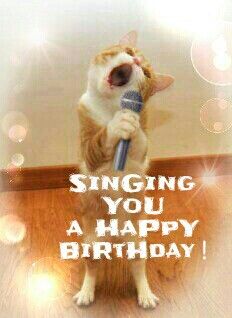 Singing you a happy birthday. Musical Birthday Wishes, Happy Birthday Country, Singing Birthday Cards, Birthday Greetings Quotes, Happy Birthday Wishes Sister, Funny Happy Birthday Pictures, Happy Birthday Cat, Funny Happy Birthday Wishes, Happy Birthday Quotes Funny