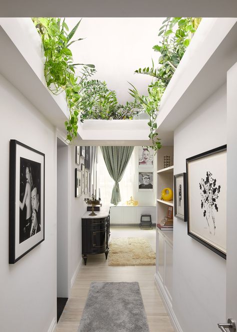 Plant vines and leaves cascade over a ledge looking back through to the master bedroom. The relationship between the... Ledge Planter Ideas, Plants In Ceiling, Home Ledge Decor, Plants On A Ledge, High Ceiling Plants, Plants In Stairwell, Ceiling Ledge Decor Ideas, Vaulted Ceiling Ledge Decor, Plant Ceiling Decor