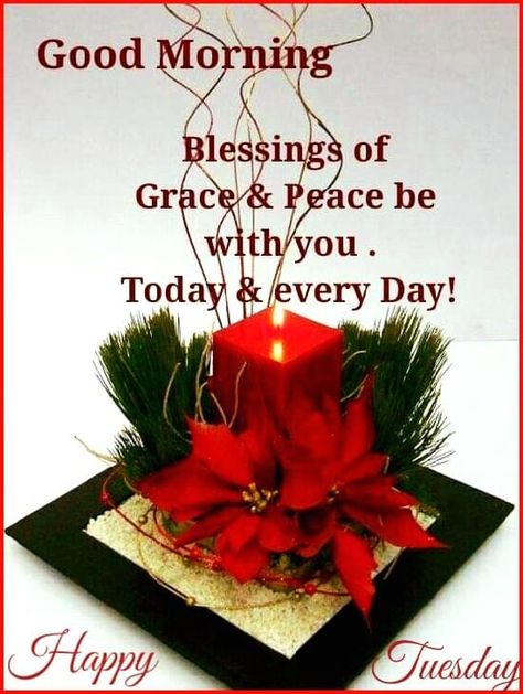 Happy Tuesday Morning, Christmas Thoughts, Good Morning Tuesday, Holiday Morning, Good Morning Sweetheart Quotes, Merry Christmas Quotes, Morning Prayer Quotes, Good Morning Flowers Quotes, Xmas Wishes