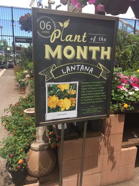 Signs - Colorful, professional signage, creates sale section, provides ideas solutions and growing tips "Lead the way." Garden Center Magazine. N.p., 29 Sept. 2016. Web. 04 Feb. 2017. Garden Center Ideas Display, Plant Nursery Signage, Garden Center Merchandising, Garden Center Displays Nurseries, Garden Center Signage, Plants For Sale Sign, Flower Shop Signage, Plant Sale Sign, Garden Center Displays Retail Ideas