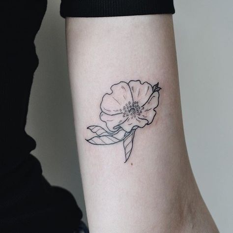 Wild rose for Ines! Wildrose Tattoo, Wild Rose Tattoo, Olivia Harrison, Rose Drawing Tattoo, Pink Tattoo, Rose Drawing, Girly Tattoos, Wild Rose, Rose Tattoo