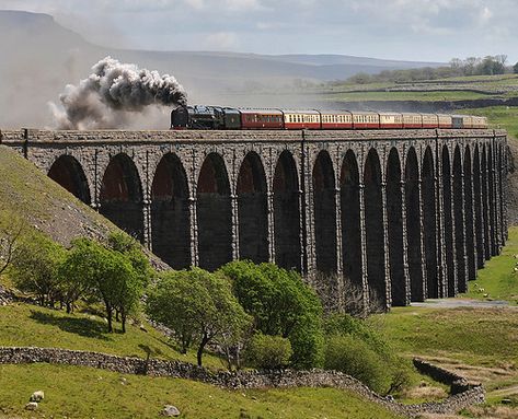 ribblehead viaduct 71000 | I have had a chance now to crop b… | Flickr Ribblehead Viaduct, Steam Trains Uk, Train Railway, Steam Engine Trains, Steam Railway, Railroad Photography, Train Art, Old Trains, Train Photography