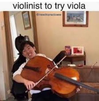 Viola Jokes, Orchestra Humor, Musician Jokes, Viola Music, Music Puns, Musician Humor, Orchestra Music, Band Jokes, Strange Music