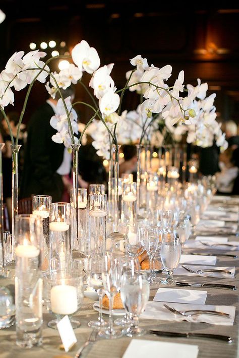 tall wedding centerpieces in high vases branches with white orchids josh gruetzmacher photography Orchid Centerpieces Wedding, Candles And Flowers, Orchid Centerpieces, Modern Centerpieces, Tall Wedding Centerpieces, Spa Night, Unique Wedding Flowers, Orchid Wedding, Wedding Floral Centerpieces