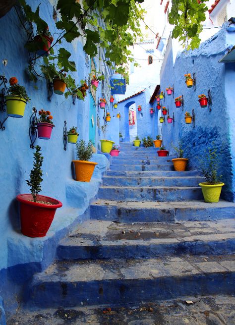 Indigo Magic #websitedevelopment #colorwhistle #websitedesigner #websitedeveloper #graphicdesign #designer #digitalmarketing #marketing #socialmediamarketing #SEO #colorslove #indigo #Colours #Design #UIdesign #designtemplates #indigocolor Chefchaouen Morocco, Colorful Places, Morocco Travel, Blue City, Photo Backgrounds, Beautiful World, Color Inspiration, Color Me, Background Images