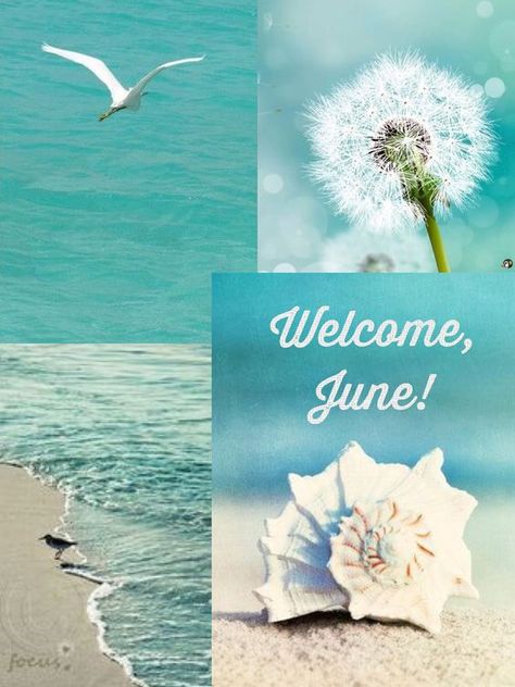 Welcome June Month, Welcome June Images, New Month Greetings, June Vibes, Hello New Month, June Wallpaper, June Quotes, Welcome June, New Month Wishes