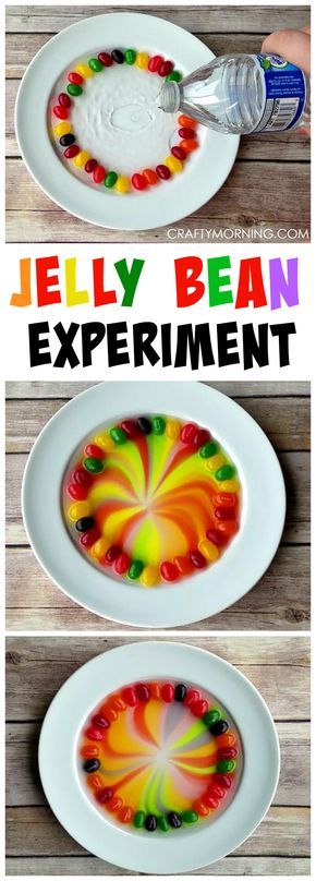 This jelly bean science experiment is so fun for the kids! Perfect for around Easter time. Bean Science Experiment, Jelly Bean Science Experiment, Vetenskapliga Experiment, Science Experience, Science Week, Kid Science, Science Party, Kid Experiments, Ideas Videos