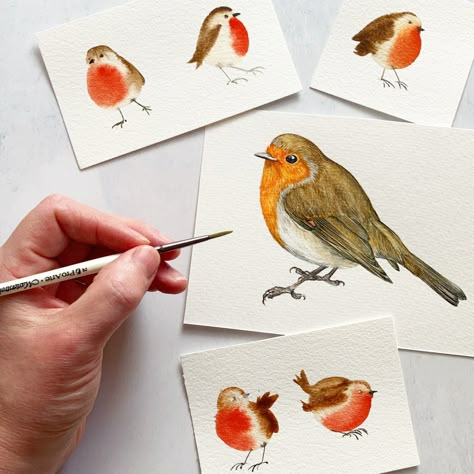 Learn to paint a simple watercolour robin with Harriet de Winton’s latest youtube tutorial. #robin #christmascardsdiy #watercolourinspiration #craftideas #watercolour #christmascraftideas #youtube Watercolor Robin Tutorial, Robin Watercolour Painting, Watercolour Robin Christmas, Harriet De Winton Watercolor, Botanical Painting Watercolour, Robin Christmas Card, Robin Watercolour, Watercolour Robin, Watercolor Birds Tutorial