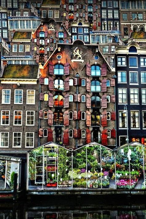 Flower Market - Amsterdam (by Thrasivoulos Panou) Netherlands. Europe. Magical Buildings, Netherlands Tourism, Amsterdam Flower Market, Colorful Houses, Sea Photography, Netherlands Travel, Amsterdam Travel, Voyage Europe, Destination Voyage