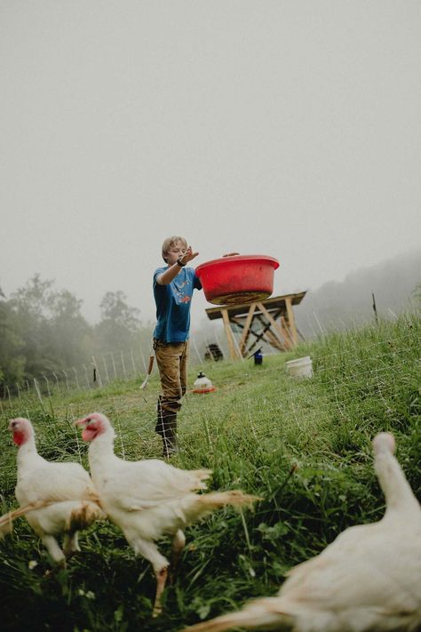 How to Raise Baby Turkeys (Brooder Stage) - Abundant Permaculture Turkey Brooder, Heat Lamp Bulbs, Raising Turkeys, Gallon Mason Jars, Fresh Bedding, Baby Turkey, How To Make Magic, Raising Chicks, Holiday Birds